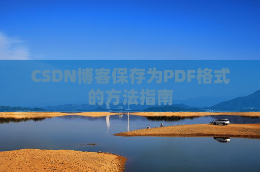 CSDN博客保存为PDF格式的方法指南