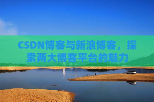CSDN博客与新浪博客，探索两大博客平台的魅力